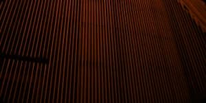 A dense mesh of orange filaments.